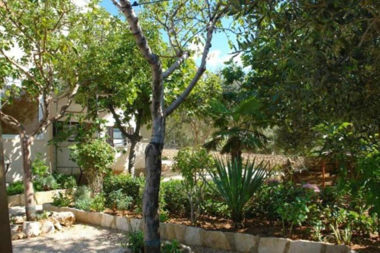 Apartments Besedic Mandre Exterior photo